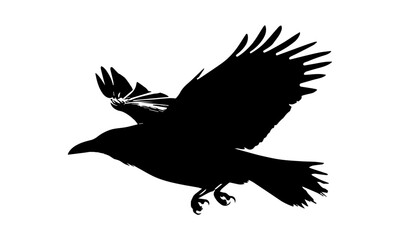 Fototapeta premium Elegant flying eagle silhouette vector design isolated on white.