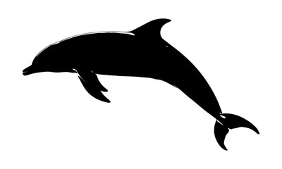 Fototapeta premium Dolphin silhouette jumping isolated on white background.