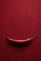 Red chili pepper lying on red background with copy space