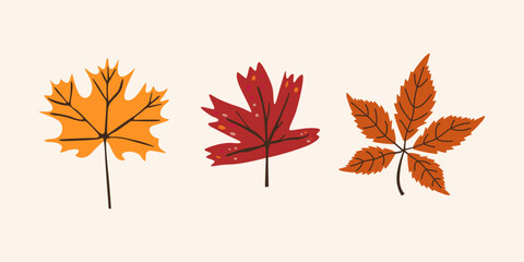 Abstract green and orange leaves of various shapes. Autumn season elements collection. Botanic fall season hand drawn tree leaves set for seasonal design and holidays