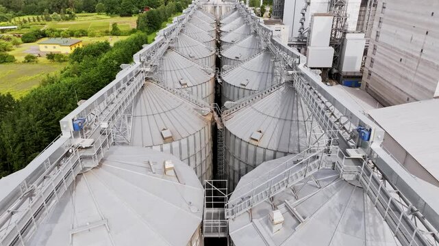 Industrial grain tanks framed by greenery and fields in scenic drone view