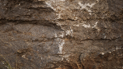 background textures and layers, nature background, macro photography