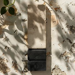 Minimalist dark soap display on weathered surface with organic plant shadow patterns