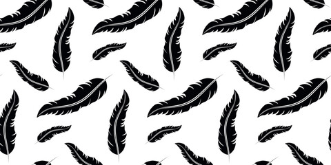 Seamless pattern beauty Feather black silhouette