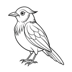 Kids' Bird Coloring Page on a White Background