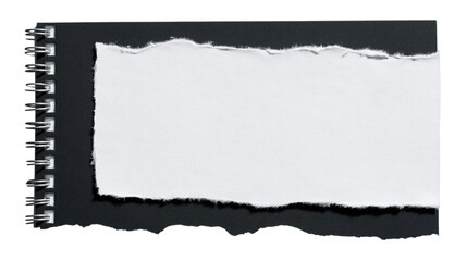 Torn paper from notebook isolated on white background