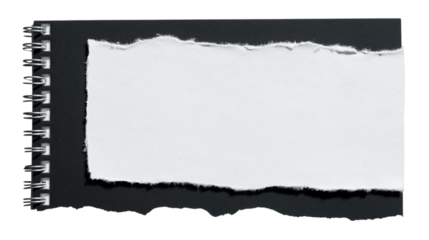 Torn paper from notebook isolated on white background