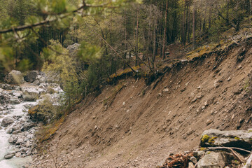 A steep bank by a mountain river. Pines lean over the cliff