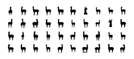 Alpaca Bundle Silhouette - 40 Vector 