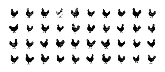 Chicken Bundle Silhouette - 40 Vector 