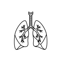 Anatomy: A detailed and informative illustration of the human respiratory system, depicting the intricate structure and functionality of the lungs.