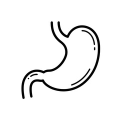Anatomy Sketch of the Stomach: A simple yet detailed outline sketch of the human stomach, a fundamental part of the digestive system, showcasing its distinct shape and anatomical features.