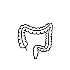 Simplified Colon Anatomy: A simple yet detailed line art illustration of the human colon, essential for medical and educational contexts.