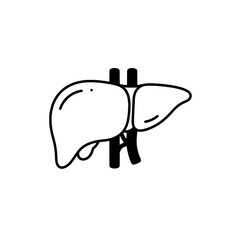Human Liver: A minimalist illustration of a human liver, meticulously drawn in black and white, emphasizing key anatomical details for medical and educational purposes.