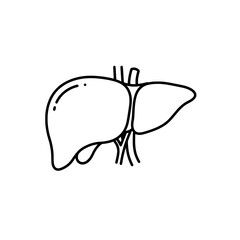 Human Liver Icon: A stark black and white illustration of a healthy human liver. A visual representation of the human body, with simplified lines and forms.