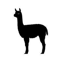 Alpaca Vector Silhoette