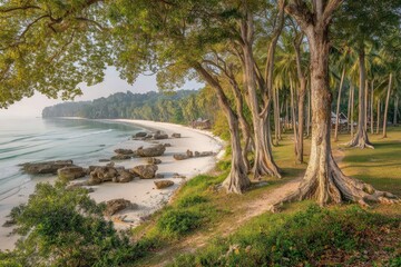Coastal beach scene, sunlit trees, and calm water. Lush greenery meets sandy beach, framed by towering trees