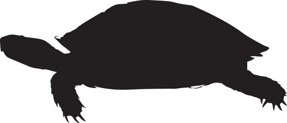 Turtle vector silhouette illustration with a black animal design symbol