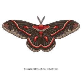 Vintage cecropia Moth Illustration – Hand Drawn Insect in Engraving Style