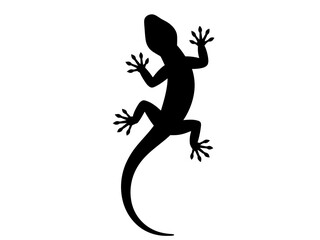 Black silhouette of a gecko lizard reptile vector illustration design