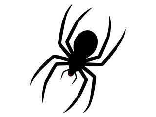 Black spider silhouette illustration vector image of arachnid with eight legs design