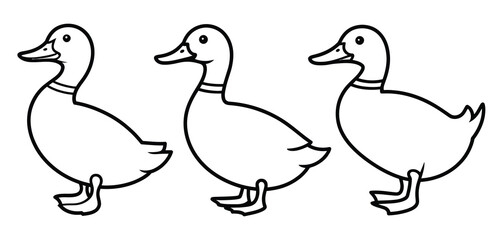 Three Cute Cartoon Ducks Outline Illustration