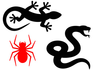 Vector silhouettes of lizard snake and spider reptiles and arachnids art