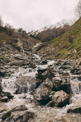 Landscape of a fast-flowing mountain river in a pine forest. Large stones in the river. Elbrus region