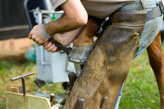 Close up of farrier removing a horseshoe