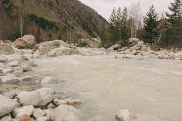 Landscape of a fast-flowing mountain river in a pine forest. Large stones in the river. Elbrus region