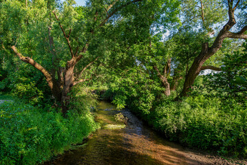 Flusslauf mit klarem Wasser des 