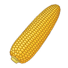 Cartoon Yellow Corn Cob Illustration