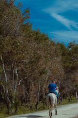 A man on horseback among the trees 