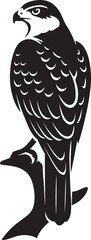 Peregrine falcon perched black silhouette, Strong falcon on branch artwork