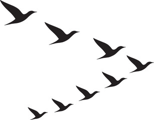 Fototapeta premium vector illustration of a flying birds