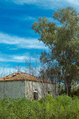 old wooden house