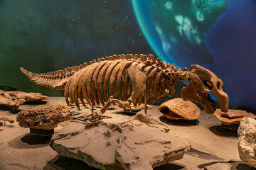 history of the evolution of the animal world, exhibition national museum of Qatar