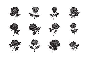 silhouette of flower rose set bundle on the white background