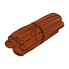 Cinnamon sticks bundle tied with string in flat style. Ideal for spice packaging, culinary recipe book and vintage kitchen design.