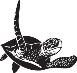 Elegant sea turtle black and white, Graceful sea turtle vector sketch
