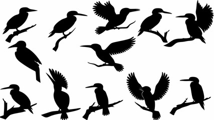Silhouette illustration of various kingfisher birds perched and flying on branches in black and white