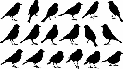 Silhouette illustration showing a collection of various birds in different poses and orientations