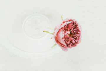 アンティーク調のピンクのバラ