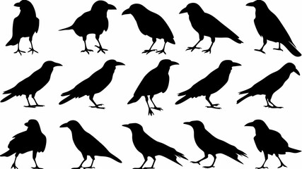 Fifteen black crow silhouettes in various poses against a white background creating a pattern design