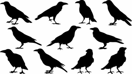 Silhouette depiction of ten crows in various poses against a white background image design art