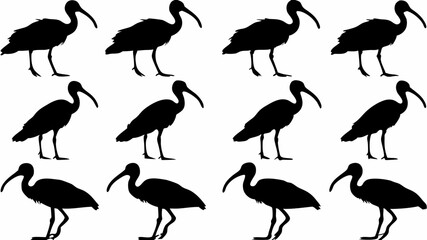 Silhouette pattern of twelve ibis birds standing in rows on a white background creates a simple design