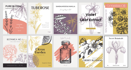 Vector set of botanical perfumery and cosmetic product label templates. Vintage hand-drawn illustration. College-style perfume designs. NOT AI generated 