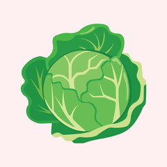 Cabbage cartoon vector illustration