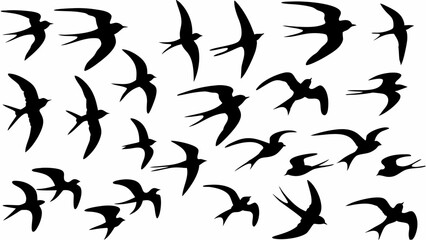 Silhouette illustration of multiple swallow birds in various flying positions and orientations on a white background