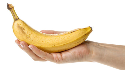 Hand holding a fresh, ripe yellow banana, a healthy tropical fruit snack